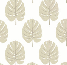Load image into Gallery viewer, MONSTERA Wallpaper Sample