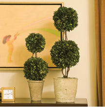 Load image into Gallery viewer, BOXWOOD DOUBLE SPHERE TOPIARY