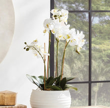Load image into Gallery viewer, PHALAENOPSIS ORCHID BOWL DROP-IN 25"