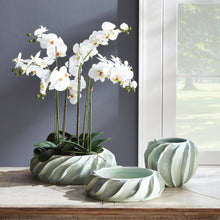 Load image into Gallery viewer, PHALAENOPSIS X 2 DROP-IN 23"