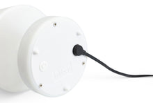 Load image into Gallery viewer, Edison the mini set of 3 (mini outdoor lamps)