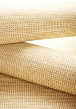 Load image into Gallery viewer, SPIRO Wallpaper Sample