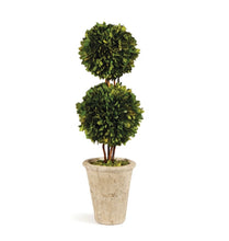 Load image into Gallery viewer, BOXWOOD DOUBLE SPHERE TOPIARY
