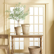 Load image into Gallery viewer, EUCALYPTUS TREE DROP-IN 49"