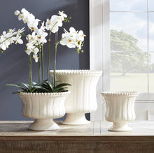 Load image into Gallery viewer, PHALAENOPSIS X 2 DROP-IN 23"