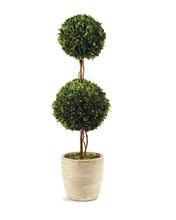 Load image into Gallery viewer, BOXWOOD DOUBLE SPHERE TOPIARY
