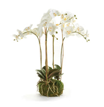 Load image into Gallery viewer, PHALAENOPSIS ORCHID BOWL DROP-IN 25"
