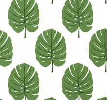 Load image into Gallery viewer, MONSTERA Wallpaper Sample