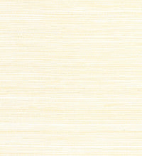 Load image into Gallery viewer, Cape May Weave sample by Thibaut