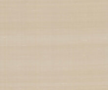 Load image into Gallery viewer, Silk Road Champagne Wallpaper