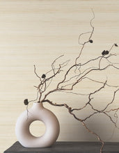 Load image into Gallery viewer, Smooth Abaca Sand Dollar Wallpaper