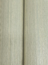 Load image into Gallery viewer, Maguey Sisal Vanilla Sage Wallpaper