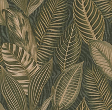 Load image into Gallery viewer, Acacius Dark Green Tropical Foliage Wallpaper