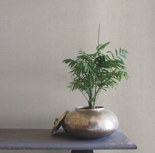 Load image into Gallery viewer, Rugged Linen High Performance Featherstone Wallpaper