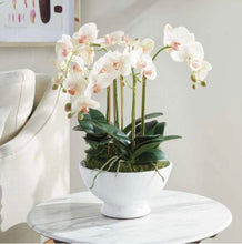 Load image into Gallery viewer, Phalaenopsis Orchid Bowl Drop-In 18.5”