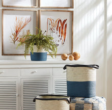 Load image into Gallery viewer, BOSTON FERN DROP-IN