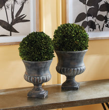 Load image into Gallery viewer, Boxwood Ball