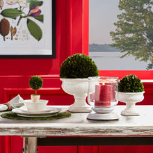 Load image into Gallery viewer, Boxwood Ball