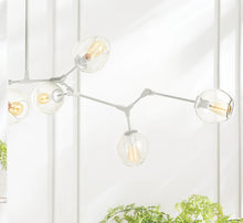 Load image into Gallery viewer, DANIELLA GLOBE CHANDELIER