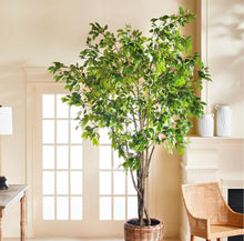Load image into Gallery viewer, Grand Ficus Tree Drop in