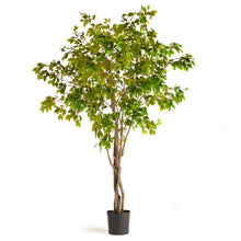 Load image into Gallery viewer, Grand Ficus Tree Drop in
