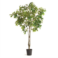 Load image into Gallery viewer, Grand Ficus Tree Drop in