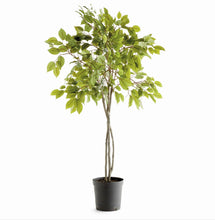 Load image into Gallery viewer, Grand Ficus Tree Drop in