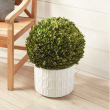 Load image into Gallery viewer, Boxwood Ball 16”