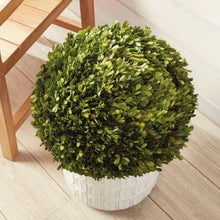 Load image into Gallery viewer, Boxwood Ball 16”