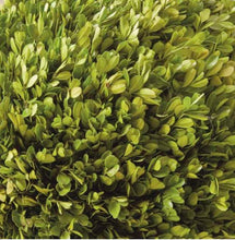 Load image into Gallery viewer, Boxwood Ball 16”