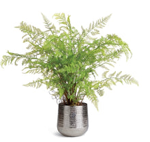 Load image into Gallery viewer, EMBERLYNN CACHEPOT