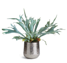 Load image into Gallery viewer, EMBERLYNN CACHEPOT