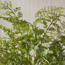 Load image into Gallery viewer, Soft Fern Drop in 36”