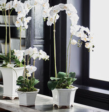 Load image into Gallery viewer, Barclay Butera Phalaenopsis in ceramic bowl