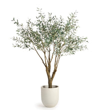 Load image into Gallery viewer, Grand Olive Tree Drop In