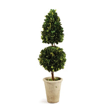 Load image into Gallery viewer, BOXWOOD CONE & BALL TOPIARY 25"