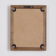 Load image into Gallery viewer, ASSORTED FROND STUDY PETITE, SET OF 6