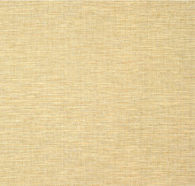 Load image into Gallery viewer, SPIRO Wallpaper Sample