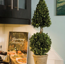 Load image into Gallery viewer, BOXWOOD CONE & BALL TOPIARY 25"