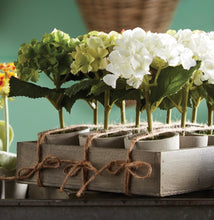 Load image into Gallery viewer, MINI HYDRANGEA POTTED , SET OF 12