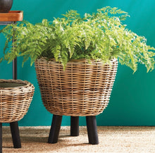 Load image into Gallery viewer, Soft Fern Drop in 36”