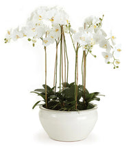 Load image into Gallery viewer, Barclay Butera Phalaenopsis in ceramic bowl