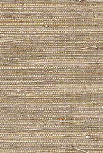 Load image into Gallery viewer, Rush cloth wallpaper Sample