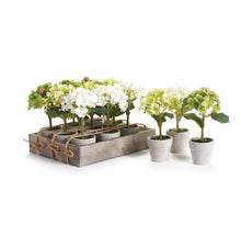 Load image into Gallery viewer, MINI HYDRANGEA POTTED , SET OF 12