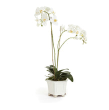 Load image into Gallery viewer, Barclay Butera Phalaenopsis in ceramic bowl