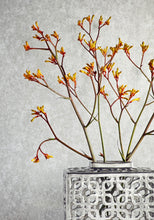 Load image into Gallery viewer, FAUX TORTOISE Wallpaper