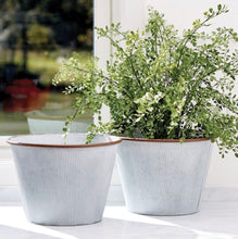 Load image into Gallery viewer, MAIDENHAIR DROP-IN