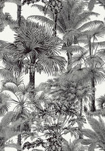 Load image into Gallery viewer, PALM BOTANICAL Wallpaper.