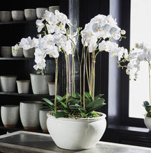 Load image into Gallery viewer, Barclay Butera Phalaenopsis in ceramic bowl