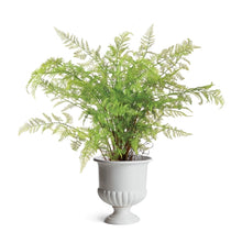 Load image into Gallery viewer, MIRABELLE COLLECTION